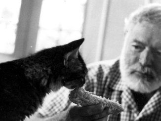 Las grandes pasiones: Ernest Miller Hemingway (1) @eliadesacosta1