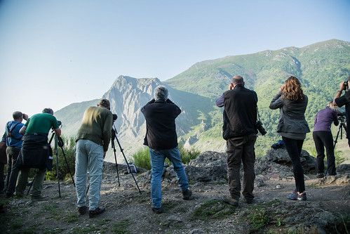 España es líder europeo en espacios protegidos, biodiversidad y recuperación de especies en peligro
